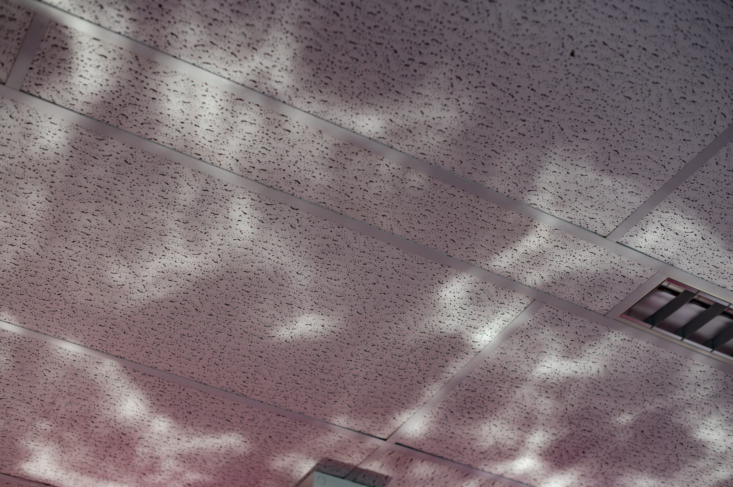 Camera Optica